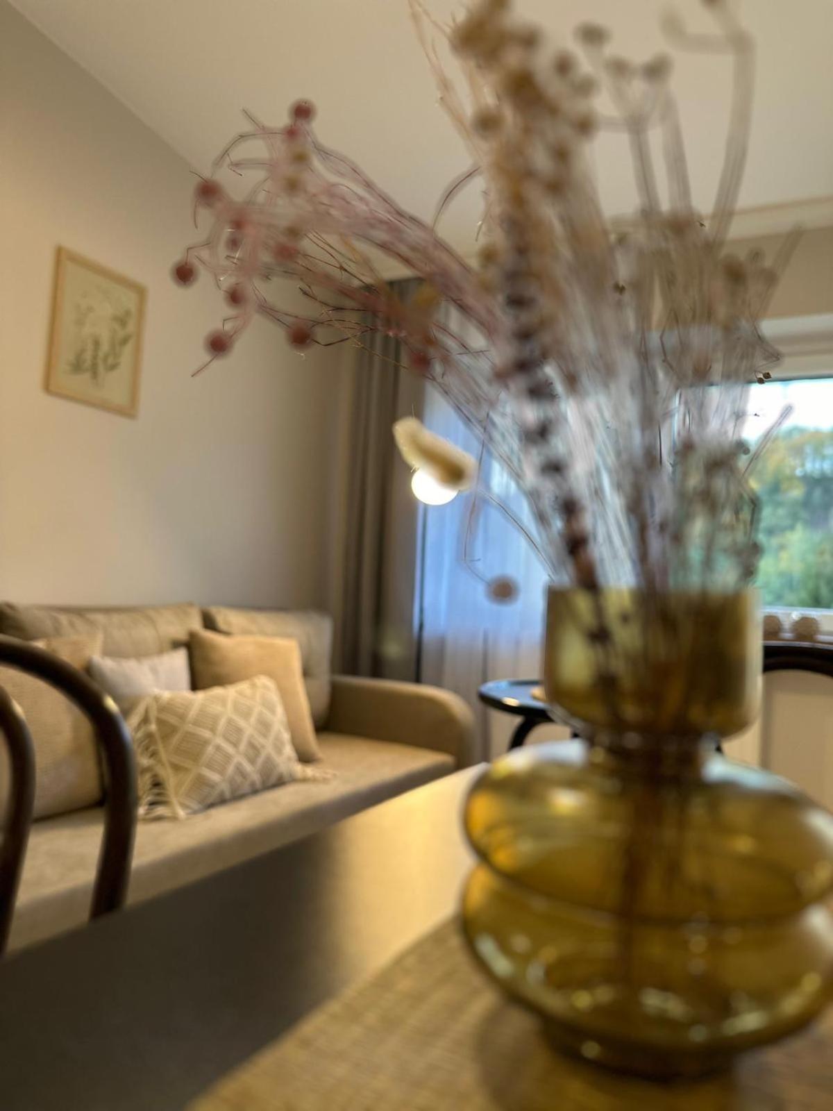 Apartamenty Lavenderia Z Widokiem Na Gore Parkowa, Blisko Centrum Kudowa-Zdrój Extérieur photo