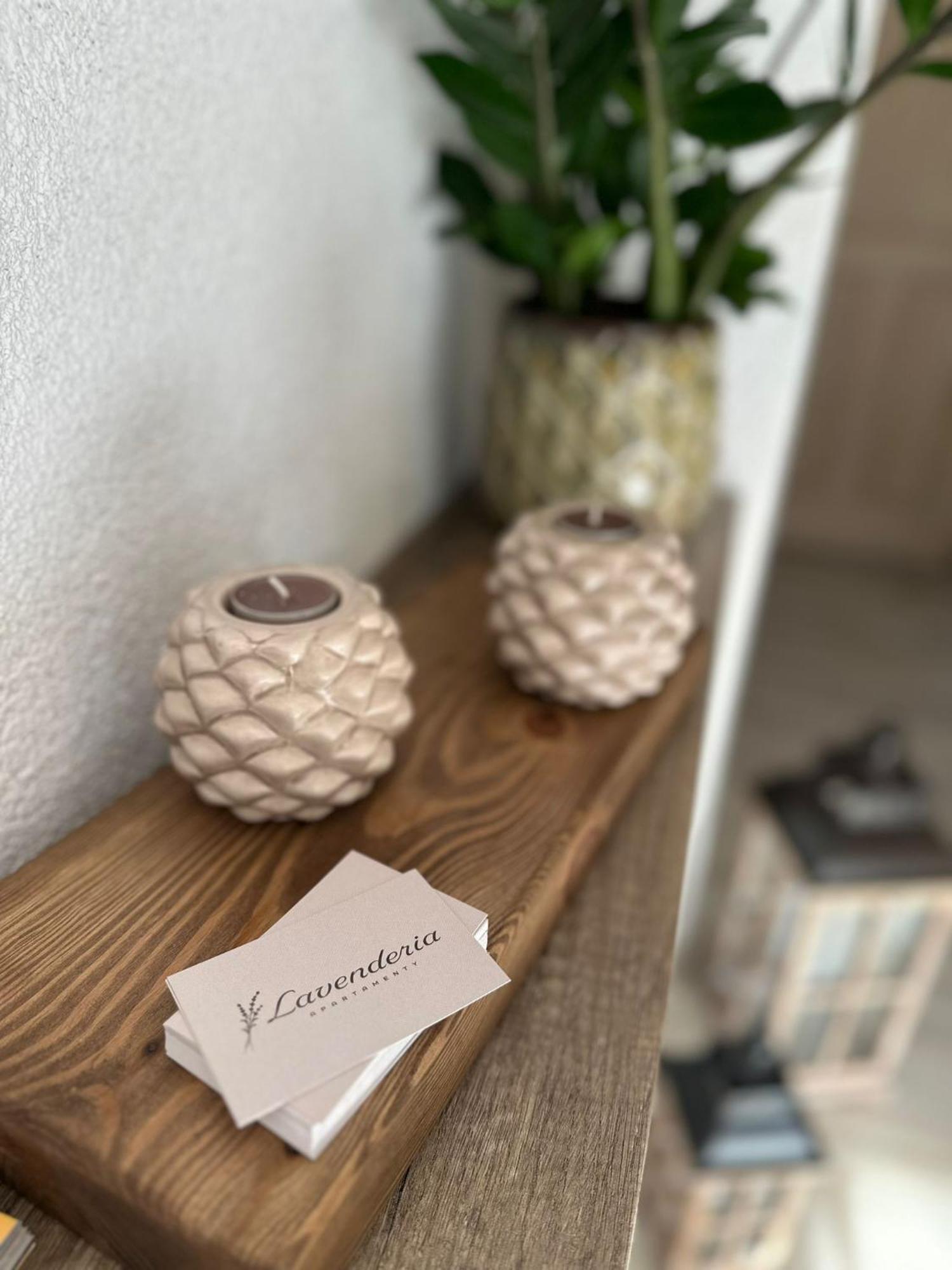 Apartamenty Lavenderia Z Widokiem Na Gore Parkowa, Blisko Centrum Kudowa-Zdrój Extérieur photo